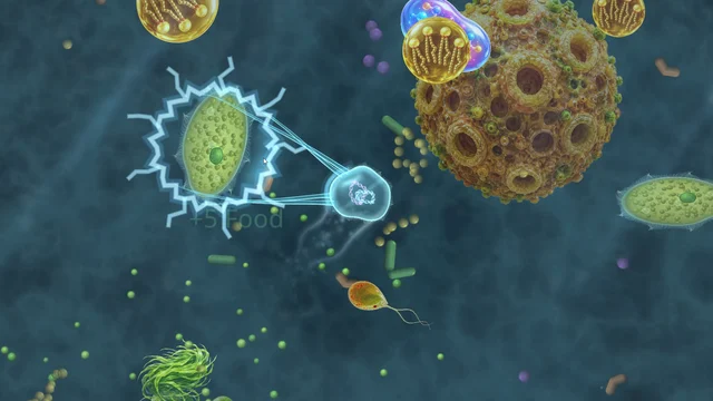 Tentacles sting a green paramecium and reel it toward the player cell