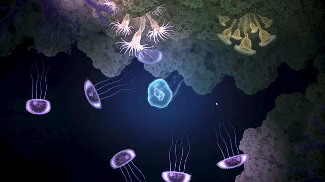 Ciliated cell among drifting jellies and anemones